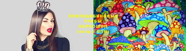 синтетический гашиш Куйбышев