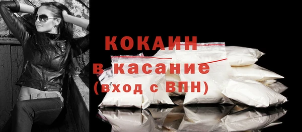 молекула духа Кулебаки