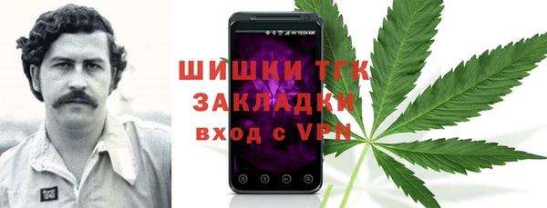 молекула духа Кулебаки