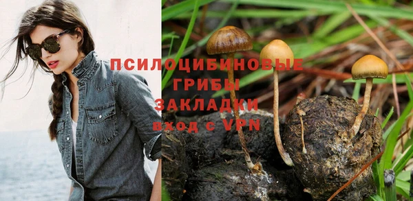 mdma Кукмор