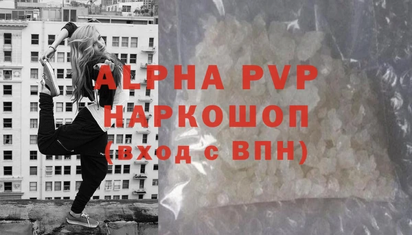 молекула духа Кулебаки