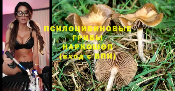 mdma Кукмор