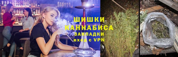 молекула духа Кулебаки