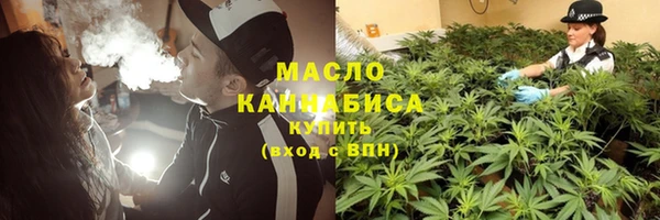 молекула духа Кулебаки