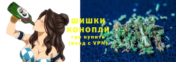 молекула духа Кулебаки